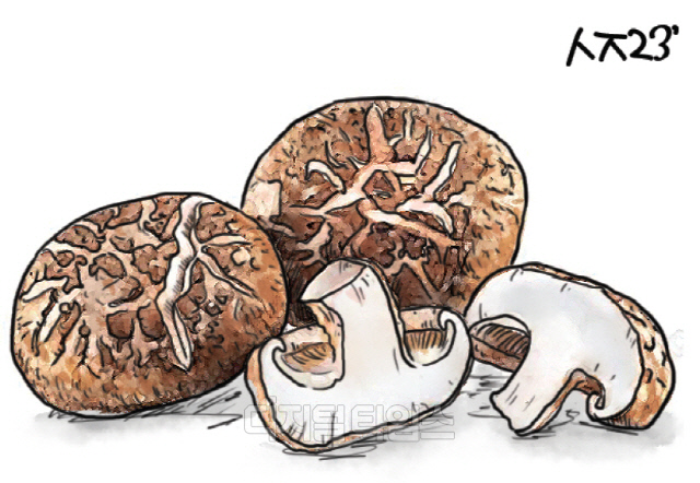 The Therapeutic Effects of Shiitake Mushrooms: A Precious Gift from Nature